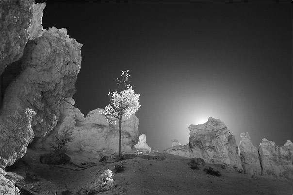 hoodoo sunrise - bryce